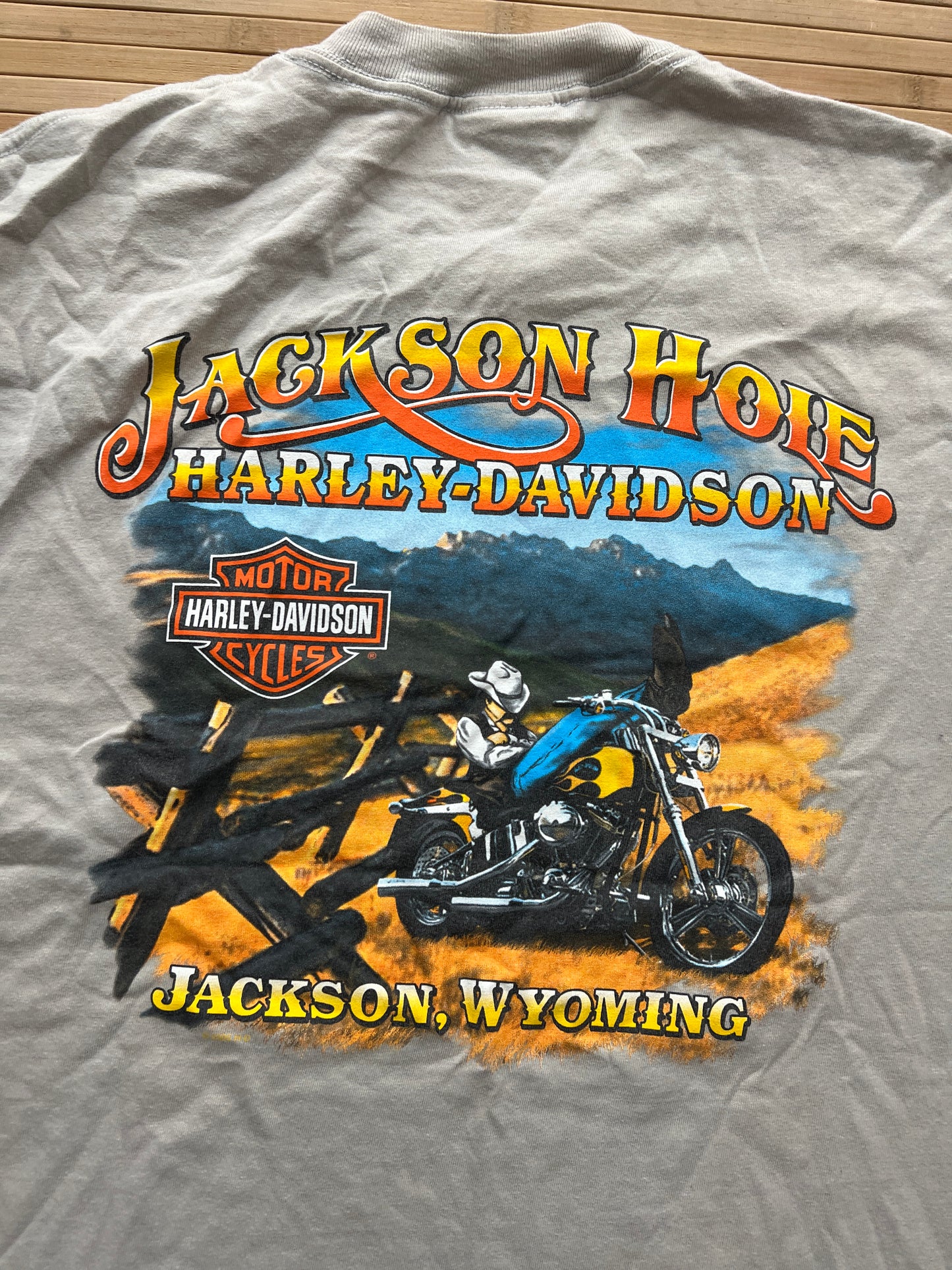 Harley Davidson T-Shirt (L)