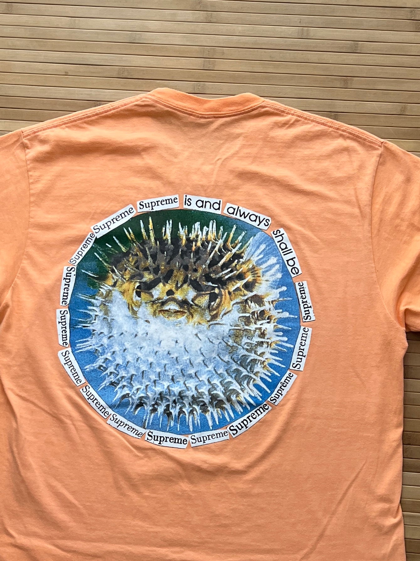 Supreme BlobFish T-Shirt (L)