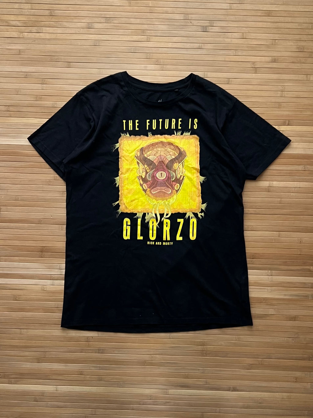 Rick & Morty T-Shirt (XL)