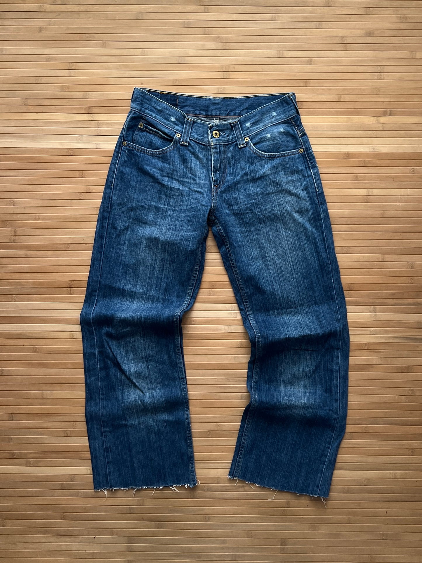 Levis Jeans (30x28)