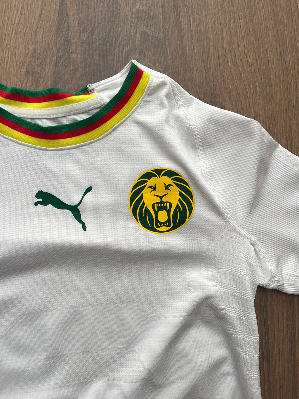Cameroon 2018/19 Away Jersey (S)