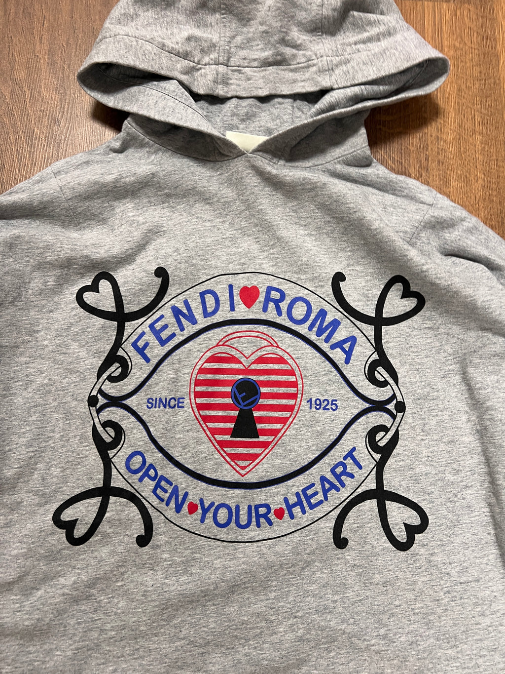 Fendi Roma Hoodie (L)