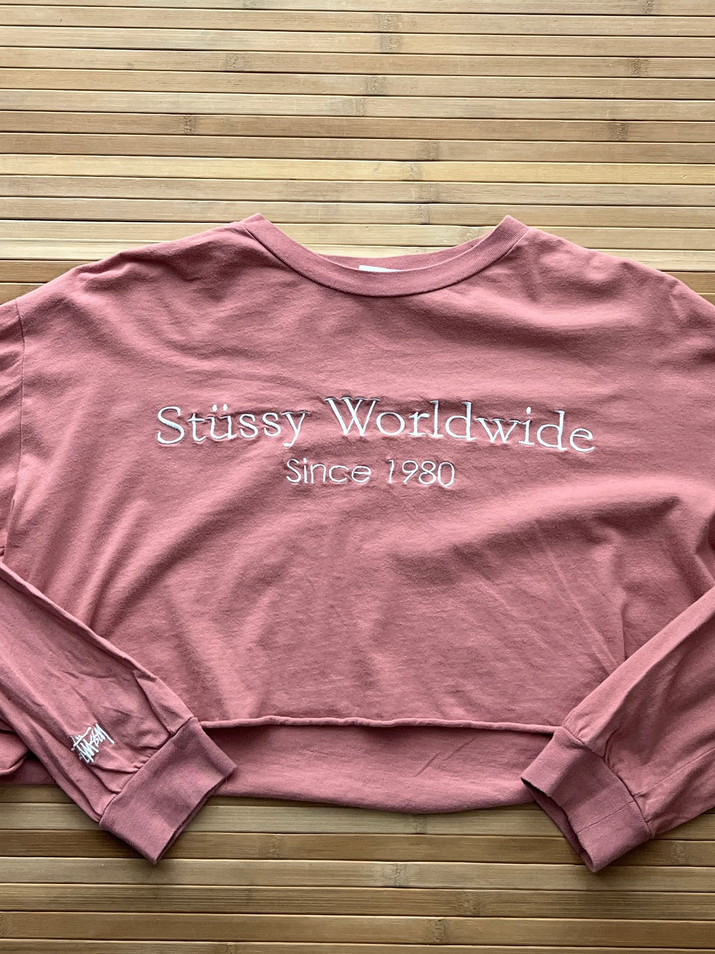 Stussy Worldwide Crop Top🙋‍♀️(S)