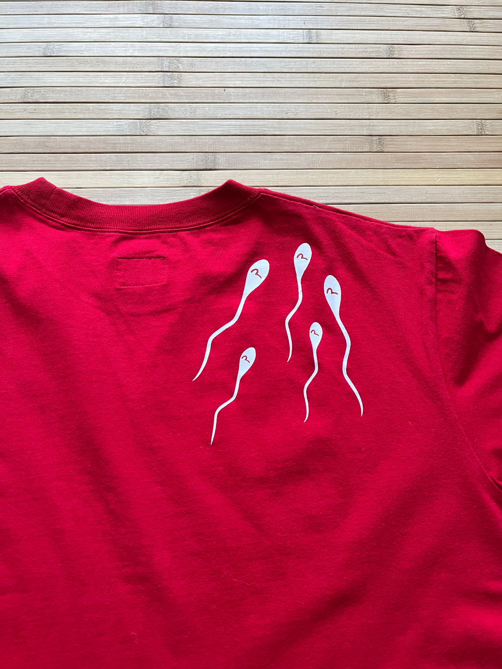 Evisu Tshirt (M)