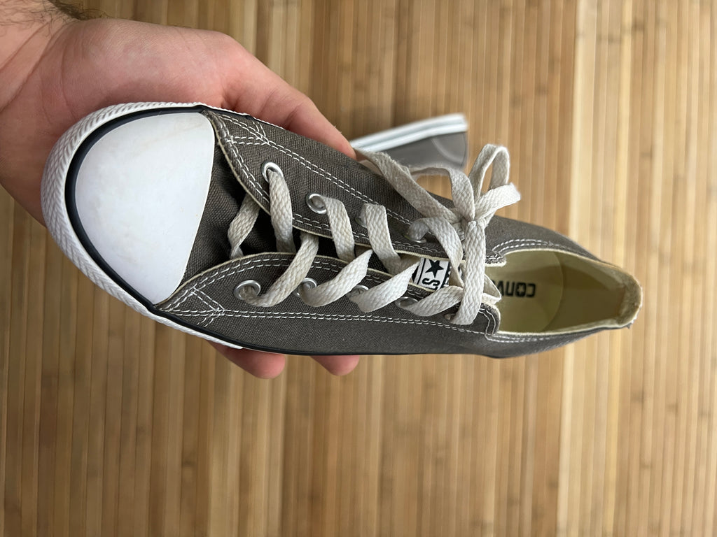 Converse Lows (39)