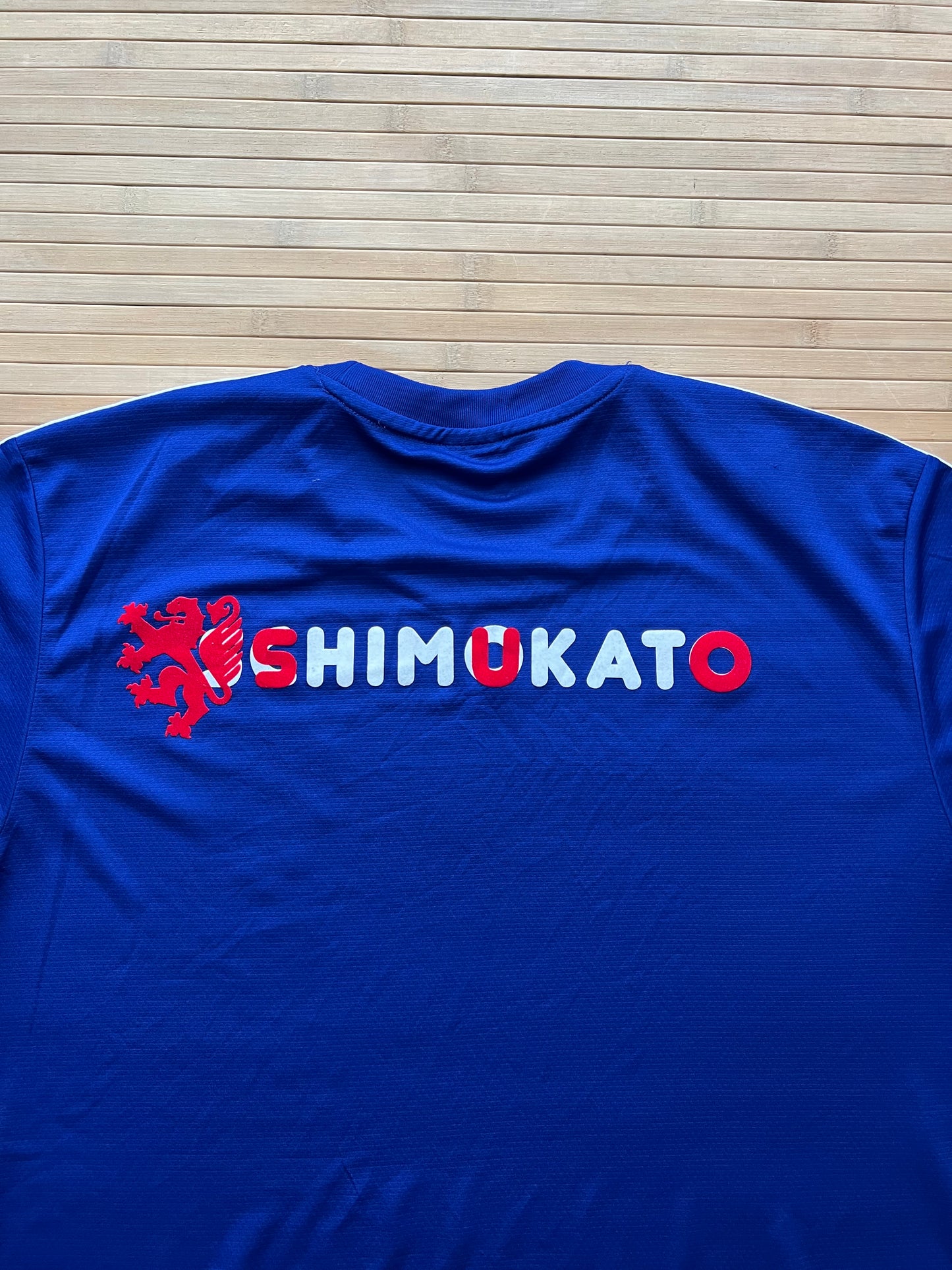 Japan 2014-15 Home Jersey (L)