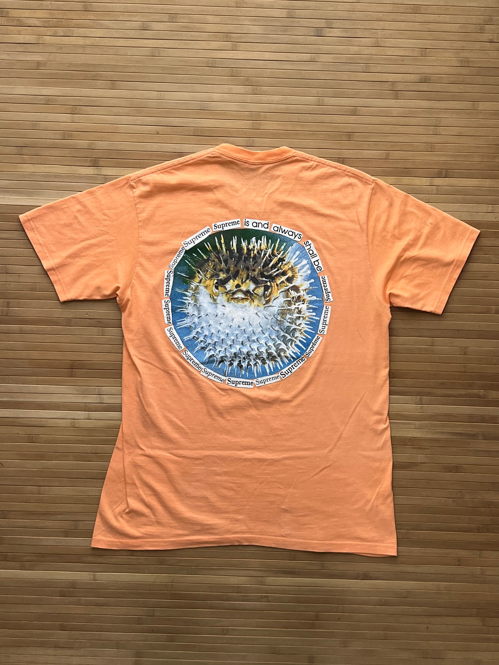 Supreme BlobFish T-Shirt (L)