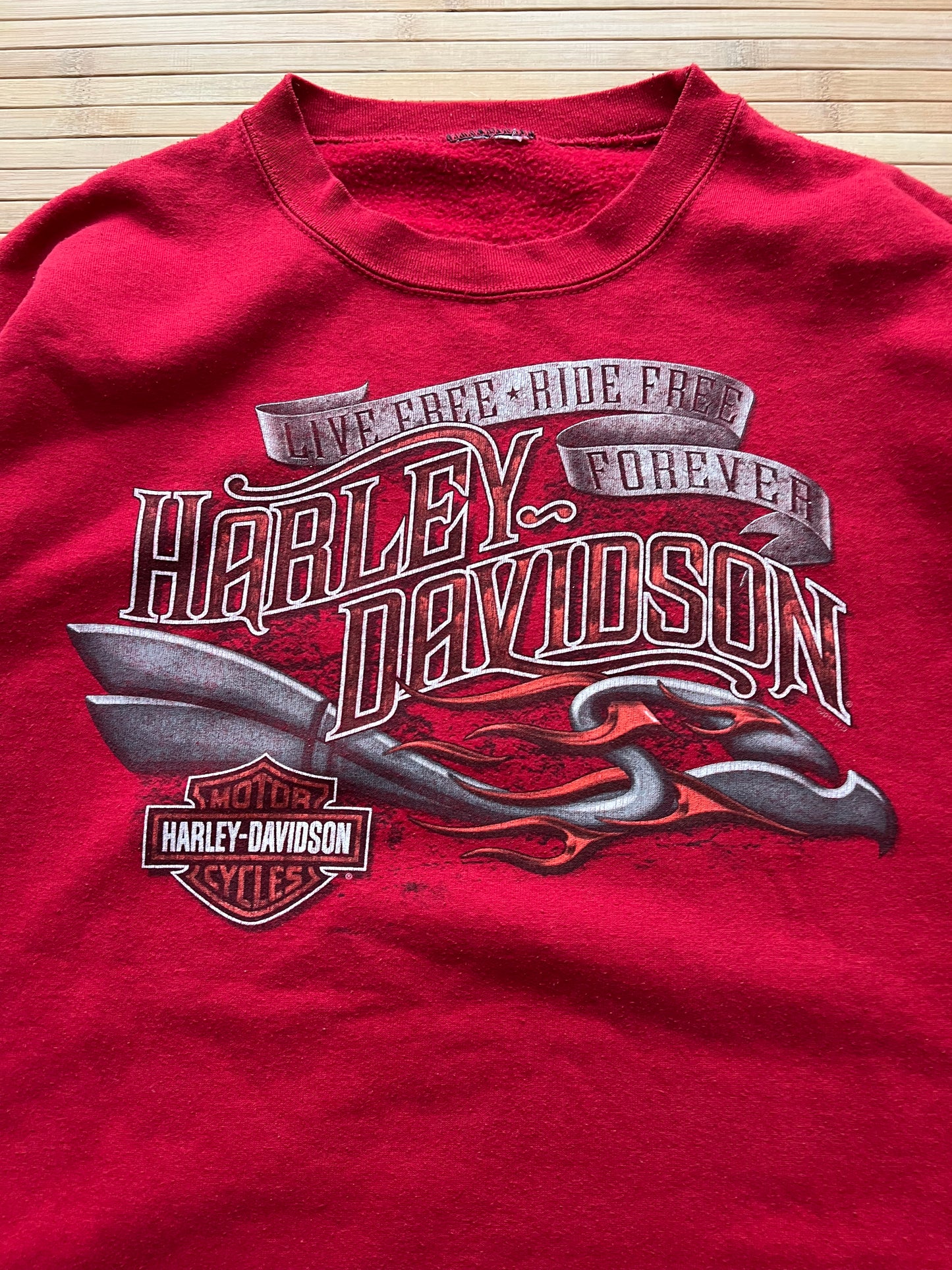 Harley Davidson 2007 Sweater (XL)