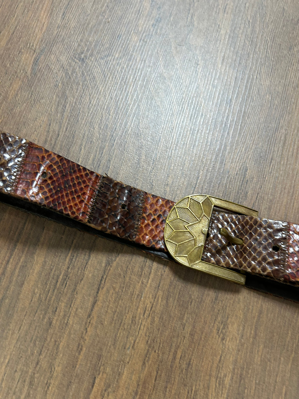Snake Skin Belt (27/36)
