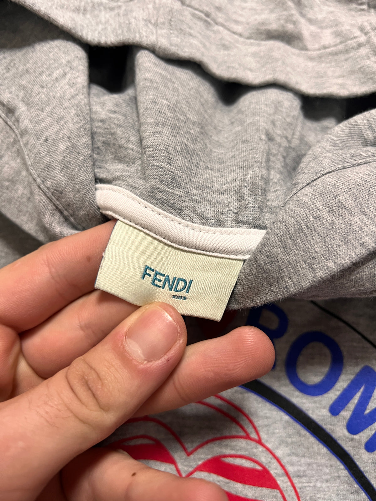 Fendi Roma Hoodie (L)