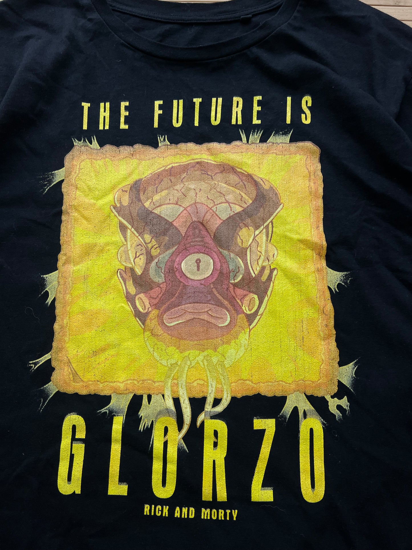 Rick & Morty T-Shirt (XL)