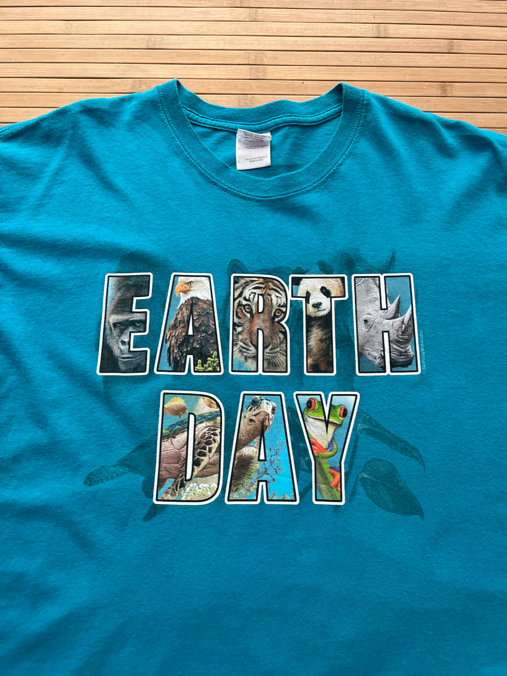 Earth Day Tshirt Damaged (L)
