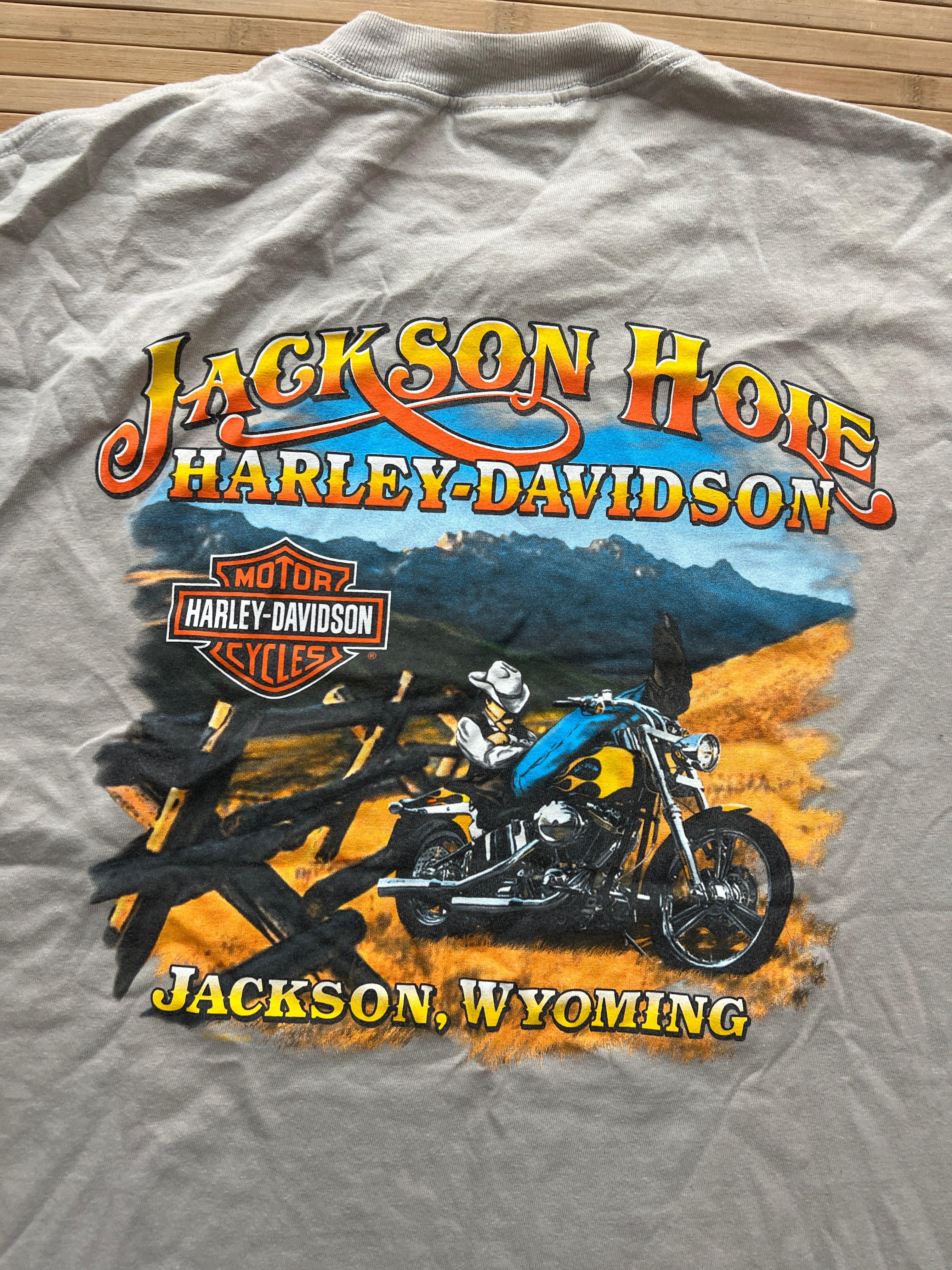 Harley Davidson T-Shirt (L)