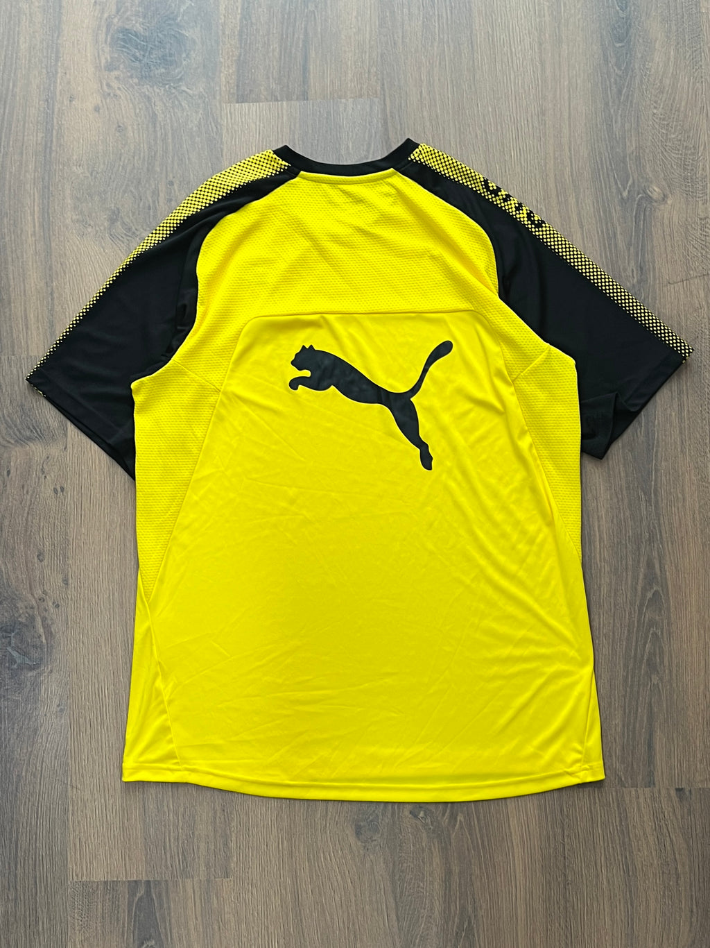 Dortmund 2017/18 Training Jersey (XL)