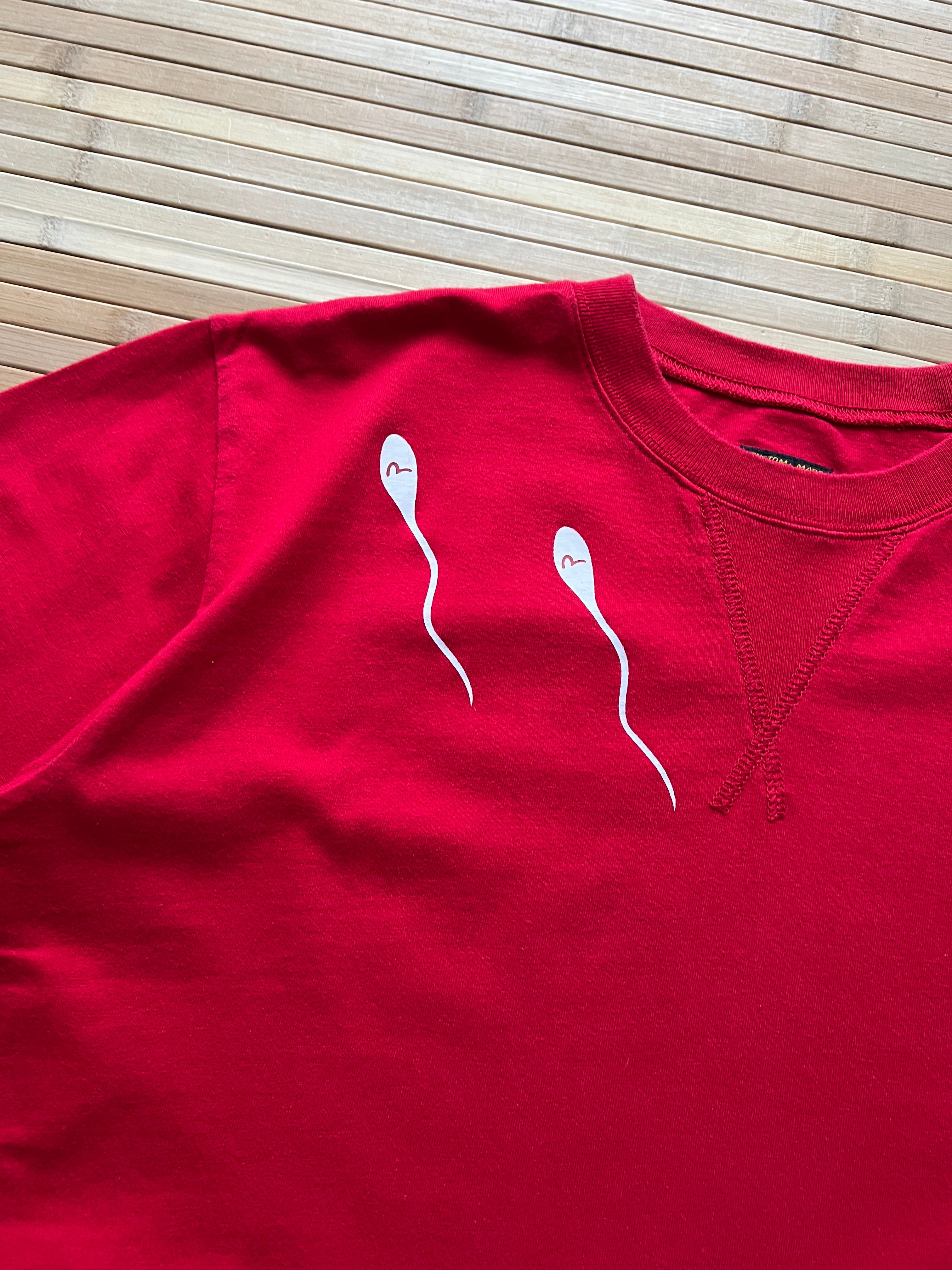 Evisu Tshirt (M)